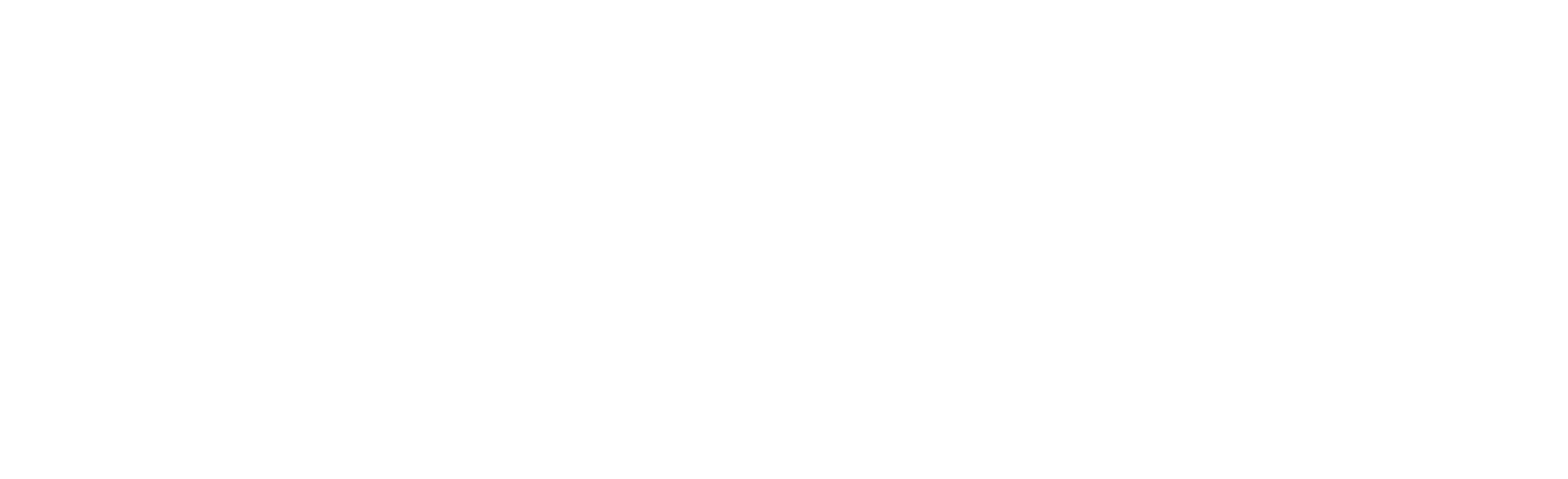 logo light